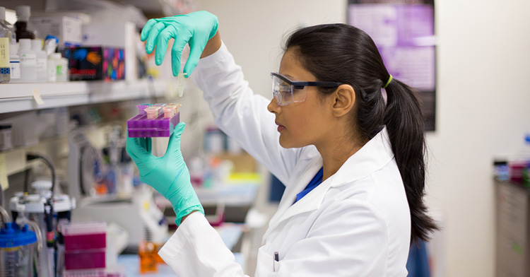 Rachit Pharmachem About
